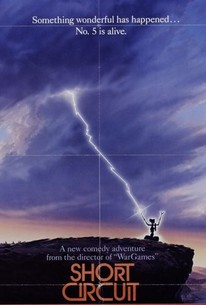 Short Circuit